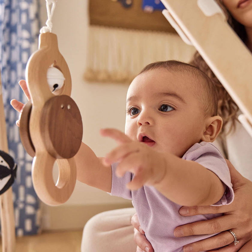 The Play Gym by Lovevery 🍁 All In One Marketplace Canada