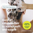 ATTITUDE Extra Gentle Hair Shampoo for Sensitive Dry Scalp, Made in Canada, EWG Verified, Soothing Oat, For Thin Hair, Vegan and Plant-Based, 946 mL 🍁 All In One Marketplace Canada