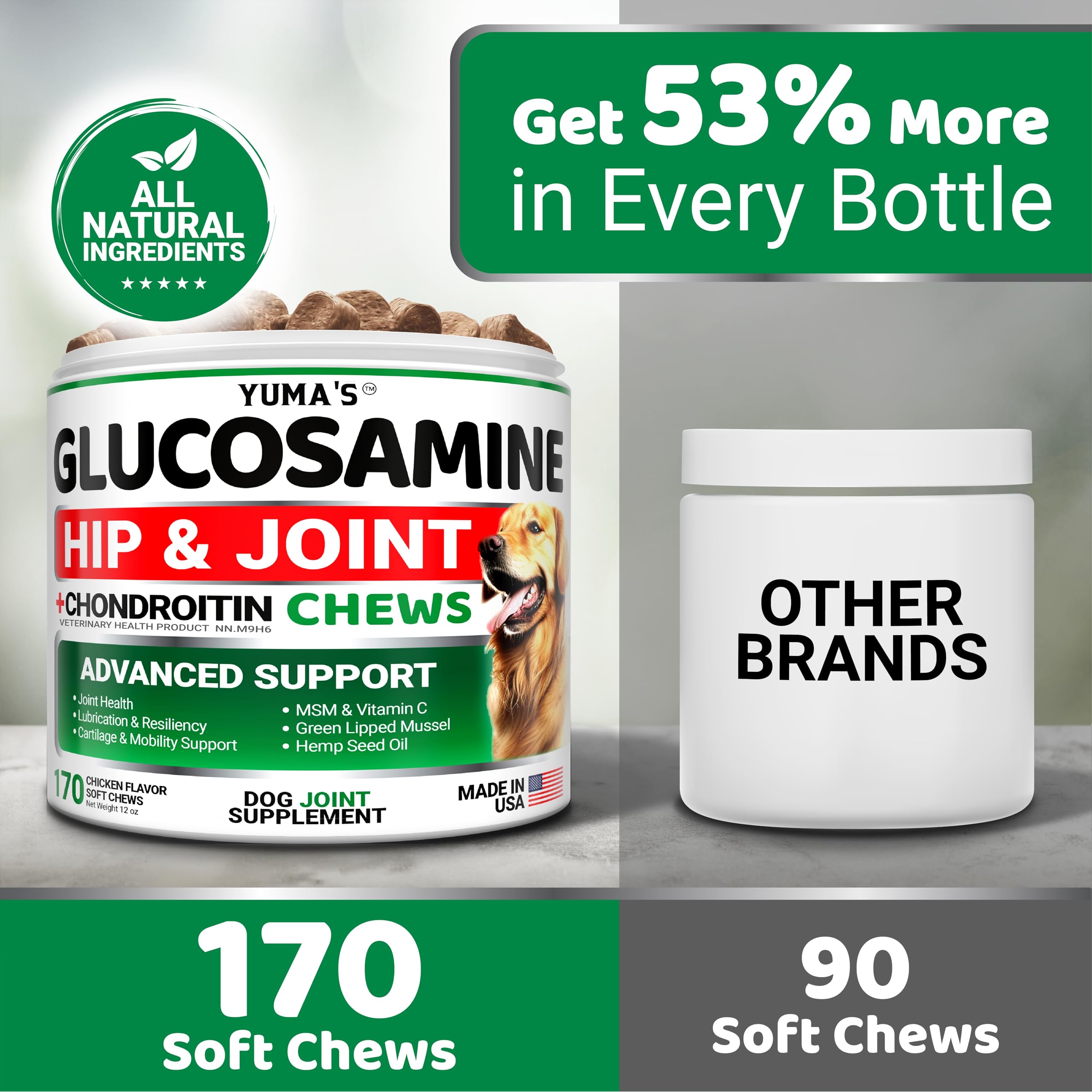 Glucosamine for Dogs - 170 Chews - Hip and Joint Supplement for Dogs - Glucosamine Chondroitin Chews - Joint Pain Relief Supplement with MSM - Advanced Health - Mobility Support - Made in USA 🍁 All In One Marketplace Canada