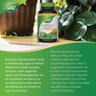Nature's Way Dandelion Root - Digestion Supplement – Diuretic Laxative - Non-GMO Verified - 180 Vegetarian Capsules, Value Size 🍁 All In One Marketplace Canada
