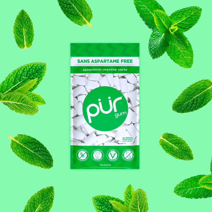 PUR Gum | Aspartame Free Chewing Gum | 100% Xylitol | Natural Spearmint Flavoured Gum, 55 Pieces (Pack of 6) 🍁 All In One Marketplace Canada