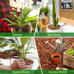 Legigo 2 litres Organic Orchid Potting Bark- All Natural Orchid Bark Potting Mix Pine Bark Wood Chips for Houseplant Mulch, Plants Root Development 🍁 All In One Marketplace Canada