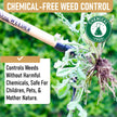 Grampa's Weeder - The Original Stand Up Weed Puller - Made with Real Bamboo & Steel Head Design - Easily Remove Weeds While Saving Your Knees & Back 🍁 All In One Marketplace Canada