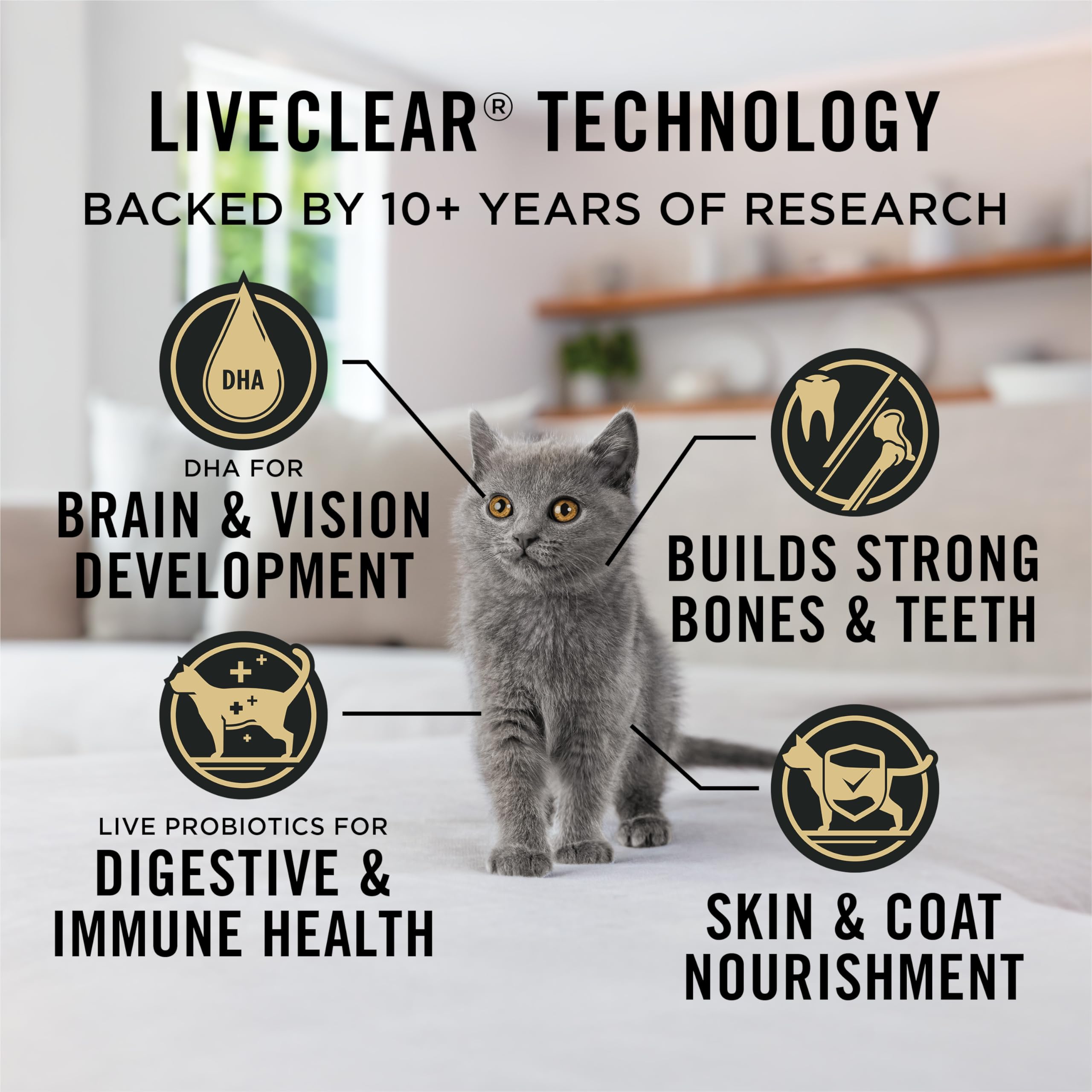 Purina Pro Plan LiveClear Dry Kitten Food, Allergen Reducing Chicken 2.49kg 🍁 All In One Marketplace Canada