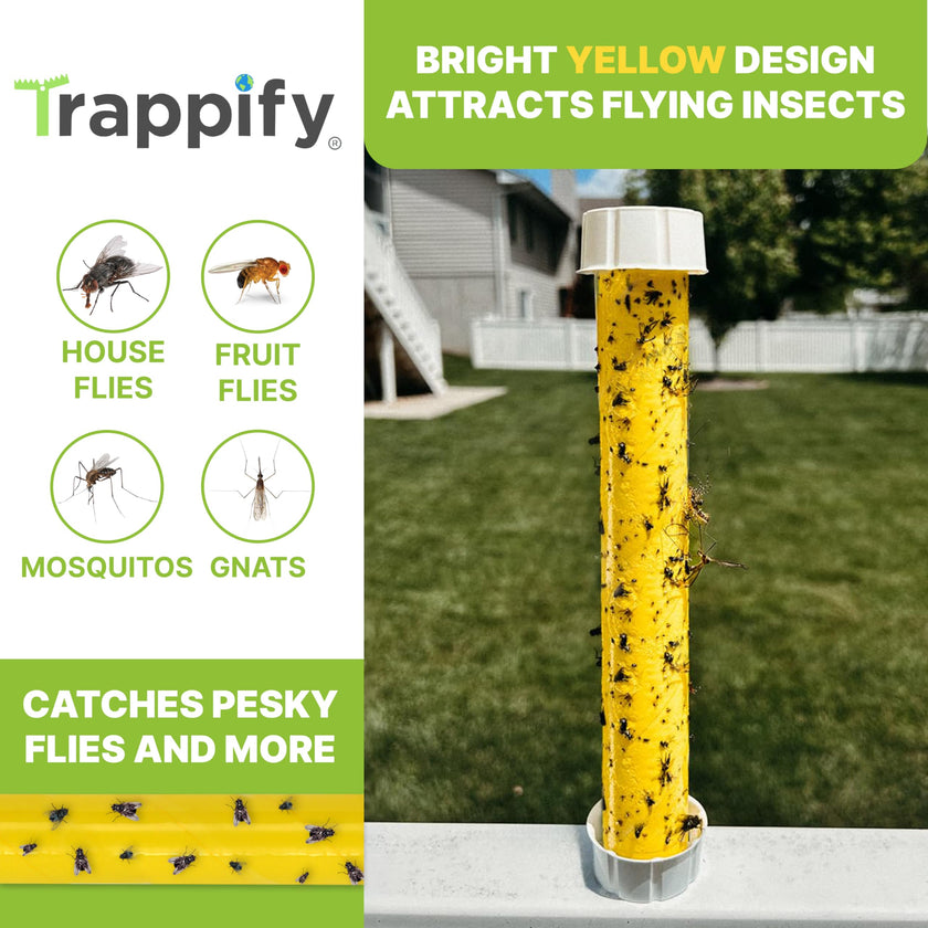 Trappify Hanging Fly Traps Outdoor: Fruit Fly Traps for Indoors | Fly Catcher, Gnat, Mosquito, & Flying Insect Catchers for Inside Home - Disposable Sticky Fly Trap for Indoor House Pest Control (2) 🍁 All In One Marketplace Canada