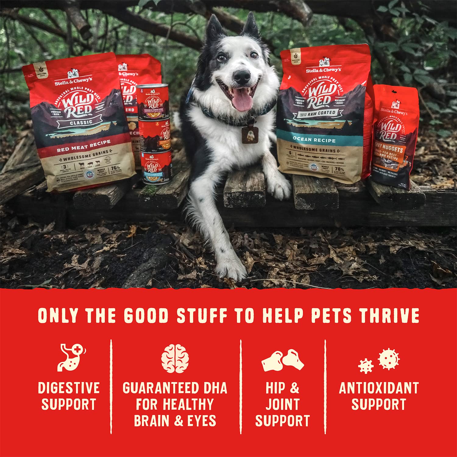 Stella & Chewy's Wild Red Dry Dog Food Raw Blend High Protein Grain & Legume Free Red Meat Recipe, 1.58kg Bag 🍁 All In One Marketplace Canada