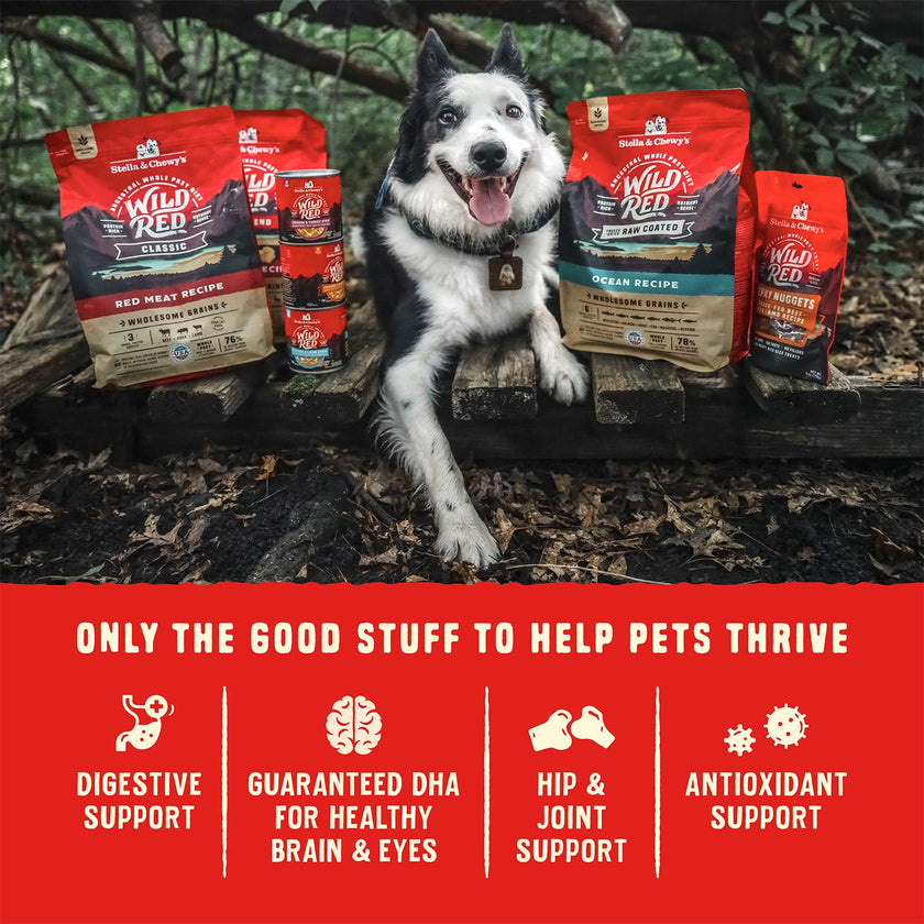 Stella & Chewy's Wild Red Dry Dog Food Raw Blend High Protein Grain & Legume Free Red Meat Recipe, 1.58kg Bag 🍁 All In One Marketplace Canada