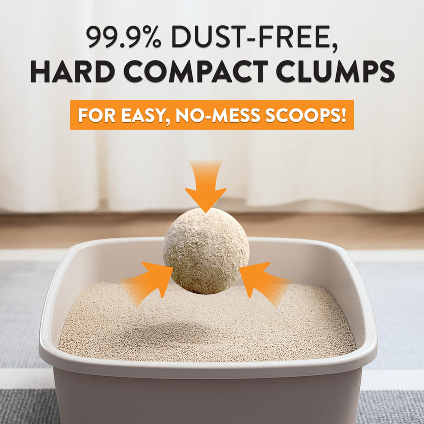 ARM & HAMMER Hardball Clumping Litter, Platinum Formula, Lightweight, Easy No-Mess Scooping, 3.86 KG 🍁 All In One Marketplace Canada