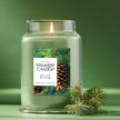 Yankee Candle Large Jar Scented Candle with up to 150 Hour Burn Time, Premium Plant Wax Blend for Cleaner Consistent Burn and Room Filling Fragrance, 22 oz, Balsam Cedar 🍁 All In One Marketplace Canada
