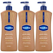 Vaseline Cocoa Radiant Lotion Ultra-Hydrating 72H Moisture, 600mL, 3-Pack 🍁 All In One Marketplace Canada