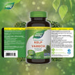 Nature’s Way Kelp - Iodine Supplement for Thyroid Support from Kelp - Non-GMO - 180 Vegetarian Capsules, Value Size 🍁 All In One Marketplace Canada