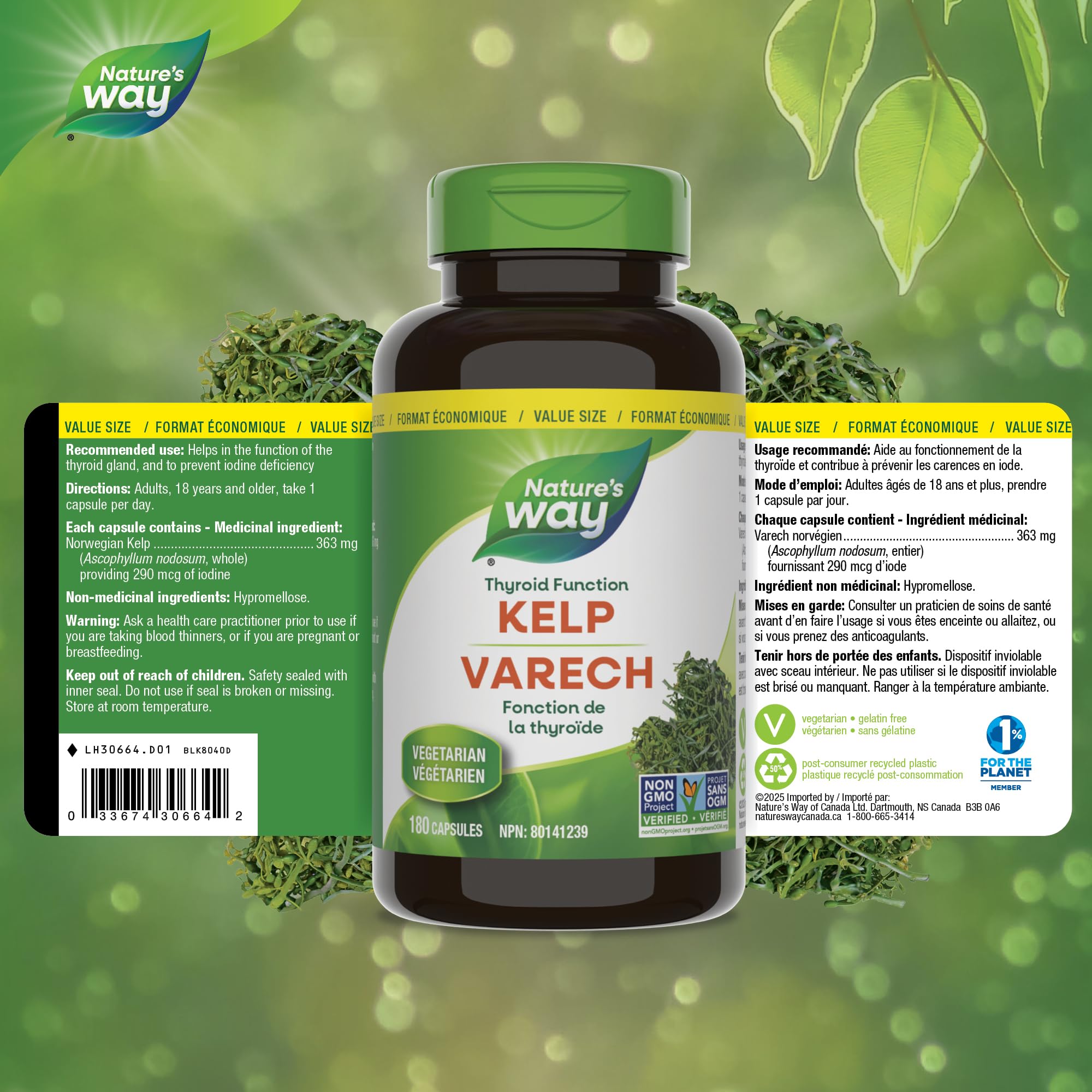 Nature’s Way Kelp - Iodine Supplement for Thyroid Support from Kelp - Non-GMO - 180 Vegetarian Capsules, Value Size 🍁 All In One Marketplace Canada
