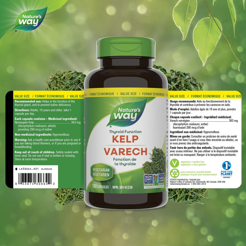 Nature’s Way Kelp - Iodine Supplement for Thyroid Support from Kelp - Non-GMO - 180 Vegetarian Capsules, Value Size 🍁 All In One Marketplace Canada