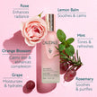 Caudalie Beauty Elixir Face Mist: Toner That Tightens Pores + Reduces Dullness + Sets Makeup - 30 mL 🍁 All In One Marketplace Canada