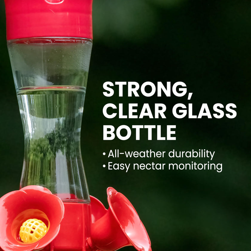 Perky-Pet 203CPBN Outdoor Pinch Waist Glass Garden Décor Hummingbird Feeder 🍁 All In One Marketplace Canada