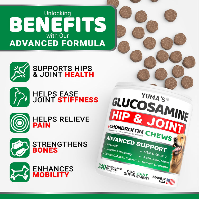 Glucosamine for Dogs - 240 Chews - Hip and Joint Supplement for Dogs with Chondroitin, MSM & Turmeric - Joint Pain Relief for Senior Dogs - All Breeds - Mobility Support - Value Pack - Made in USA 🍁 All In One Marketplace Canada