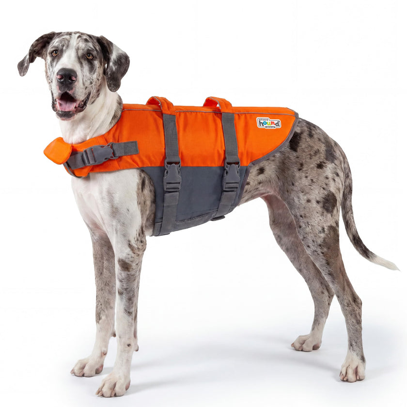 Outward Hound Granby Splash Dog Life Jacket with Handle, Reflective Floating Vest for Swimming & Boating, Maximum Buoyancy, All Skill Levels, Extra-Large Dogs (33–44
