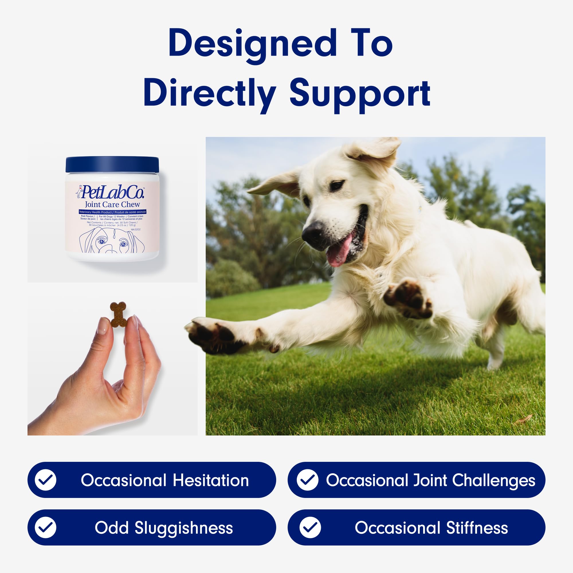 Petlab Co. Joint Care Chews, High Levels of Glucosamine for Dogs, Green Lipped Mussels, Omega 3 and Turmeric, Dog Hip and Joint Supplement to Actively Support Mobility, Packaging May Vary 🍁 All In One Marketplace Canada