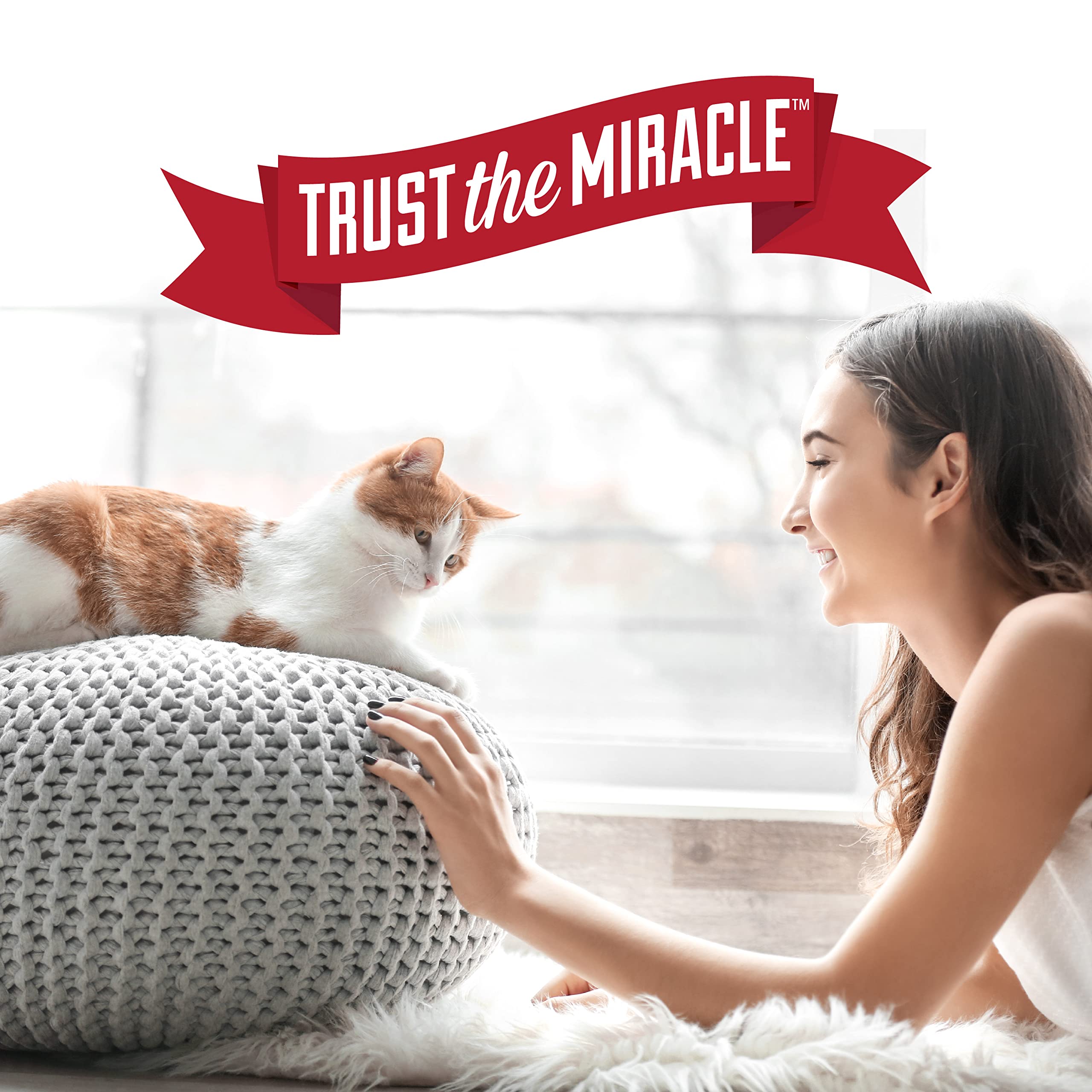 Nature’s Miracle Advanced Stain and Odor Eliminator Cat, 32 Ounces, 1 Gallon, Pour, Fresh Scent, Severe Mess Enzymatic Formula For Tough Pet Messes 🍁 All In One Marketplace Canada