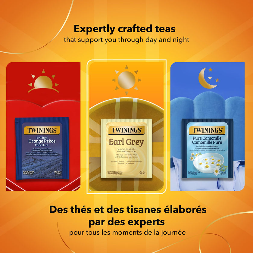 Twinings Herbal Camomile Individually Wrapped Teabags, Naturally Caffeine-Free, Made with 100% Pure Camomile Blossoms, 20 Count (Pack of 6), Enjoy Hot or Iced 🍁 All In One Marketplace Canada