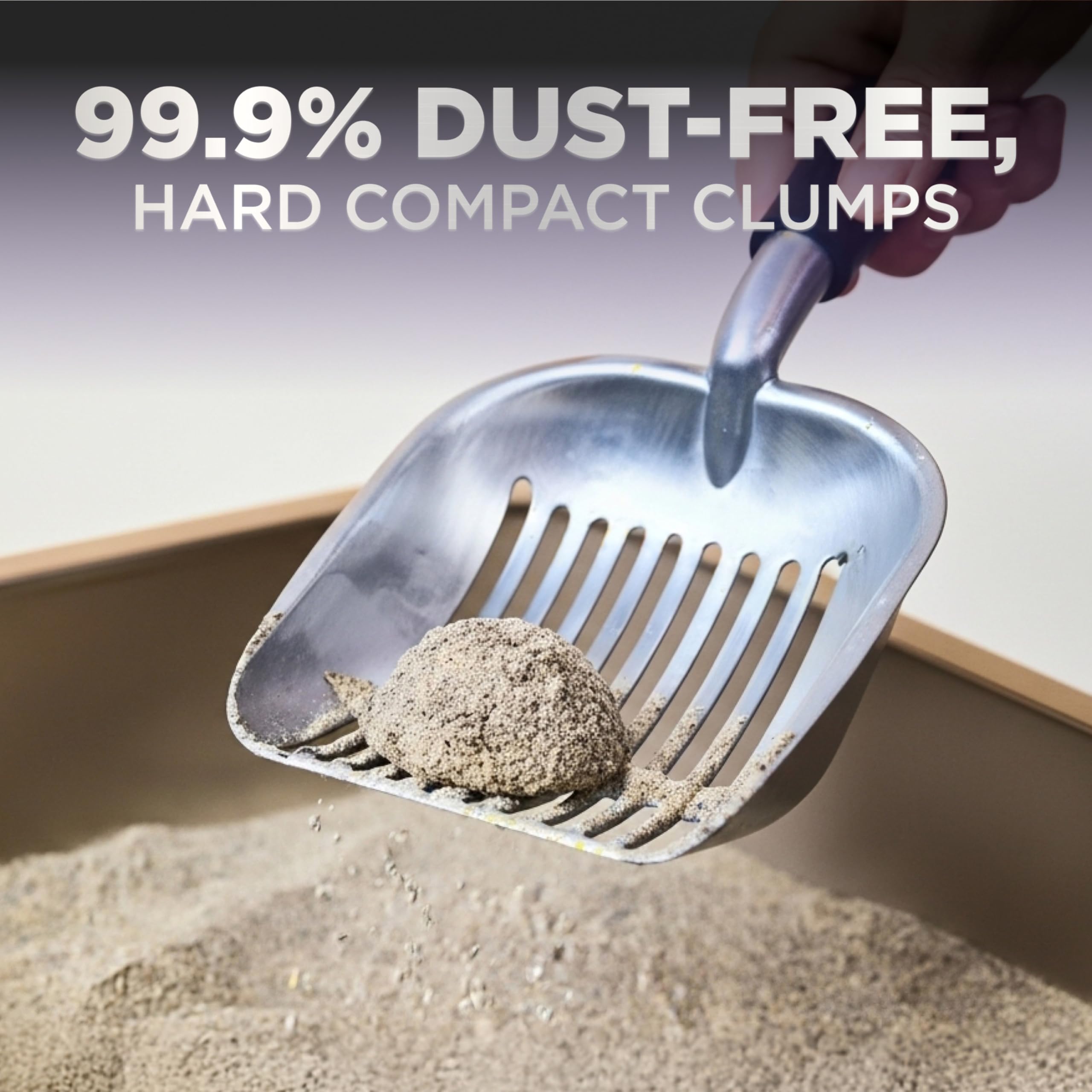 Arm & Hammer Platinum Clumping Cat Litter, 2x Longer Odour Control, Multi-Cat Clay, Ultimate 14-Day Freshness, Extra Oduor Eliminators, Effortless Clean, Dust-Free, Heavy-Duty Clumping, 8.16kg 🍁 All In One Marketplace Canada