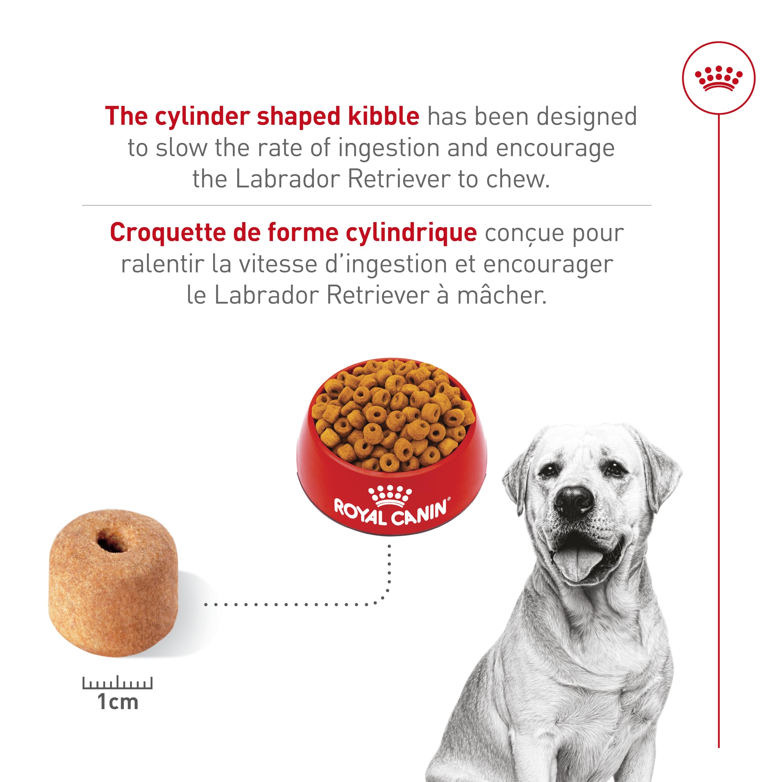 Royal Canin Labrador Retriever Adult Dry Dog Food, 30 lb bag 🍁 All In One Marketplace Canada