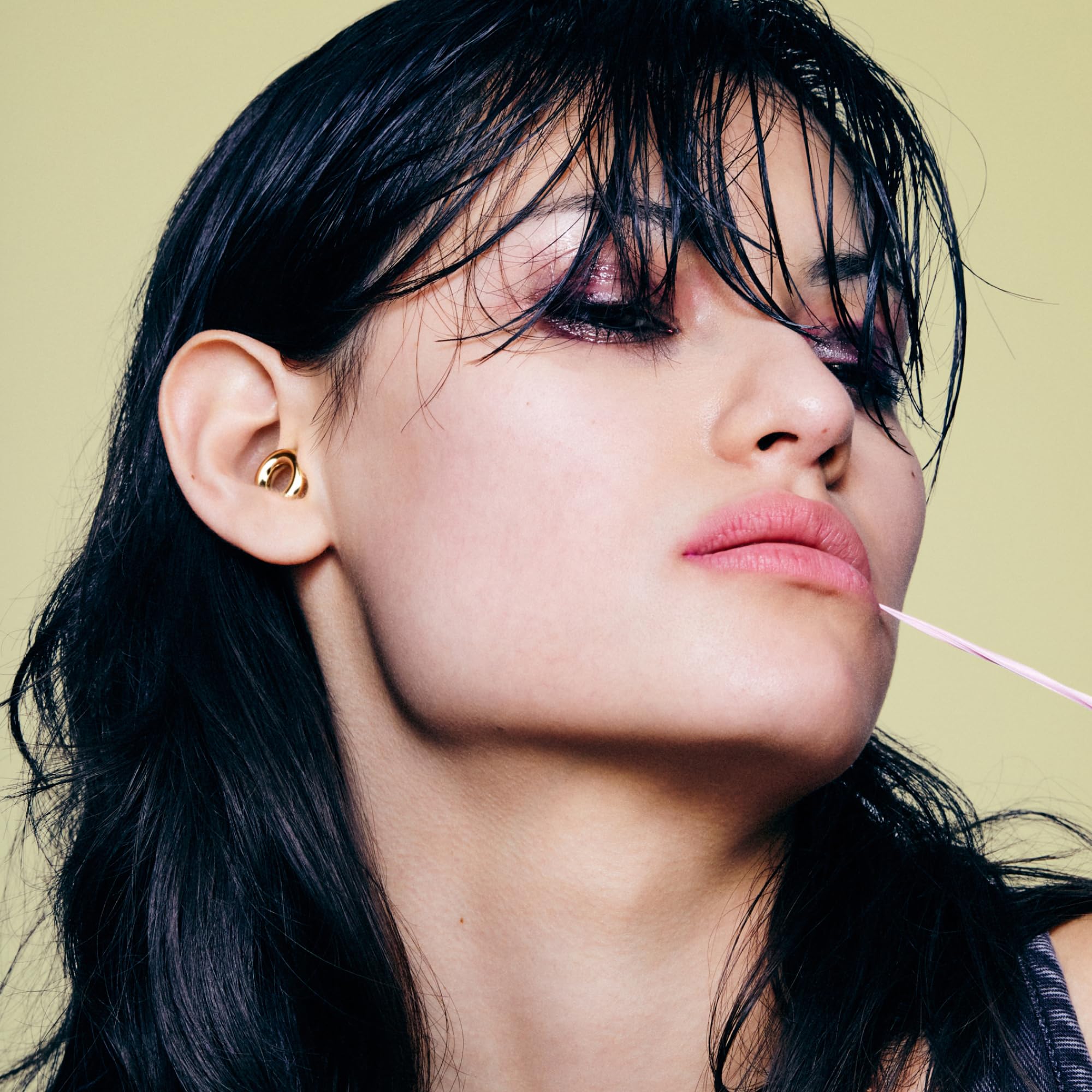 Loop Experience 2 Ear Plugs – Stylish Certified Hearing Protection for Concerts & Festivals, Live Events, Musicians, Sports, DJs and Nightlife – 17dB Noise Reduction Earplugs (High-Fidelity) 🍁 All In One Marketplace Canada