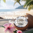 Yankee Candle Large Jar Scented Candle with up to 150 Hour Burn Time, Premium Plant Wax Blend for Cleaner Consistent Burn and Room Filling Fragrance, 22 oz, Coconut Beach 🍁 All In One Marketplace Canada