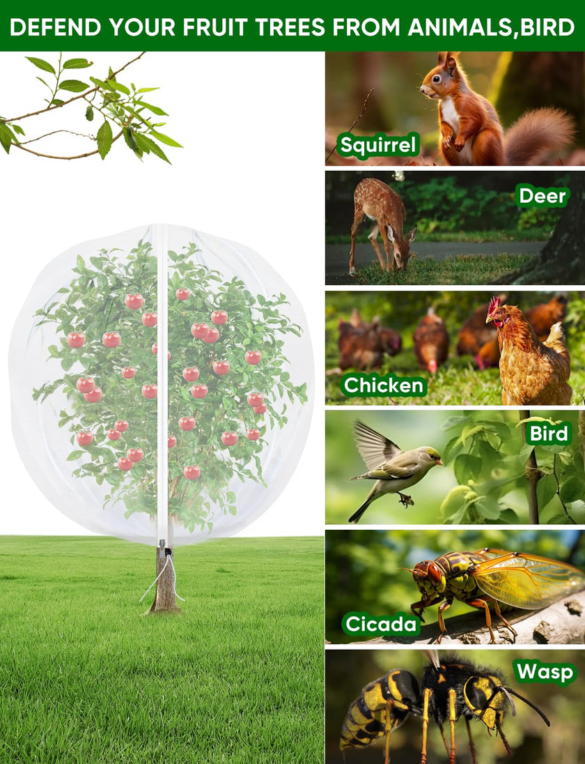 4Pack Garden Fruit Tree Netting for Cicadas with Zipper 150 x 120cm Garden Bird Mesh Netting for Blueberry Bushes with Drawstring,Insect Plant Protection Mesh Net Bags for Tomato,Cicada,Animals 🍁 All In One Marketplace Canada