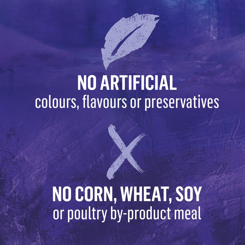 Beyond Wild Dry Dog Food, Turkey, Egg & Bone Broth 4.5kg 🍁 All In One Marketplace Canada
