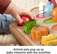Fisher-Price Baby Toy Hide & Peek Pop-Up Animal-Themed Sensory Activity with Wood Accents & Sounds for Ages 9+ Months 🍁 All In One Marketplace Canada