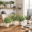 Der Rose 3 Pack Mini Potted Fake Plants Artificial Plastic Eucalyptus Plants for Home Office Desk Farmhouse Room Decor Indoor 🍁 All In One Marketplace Canada