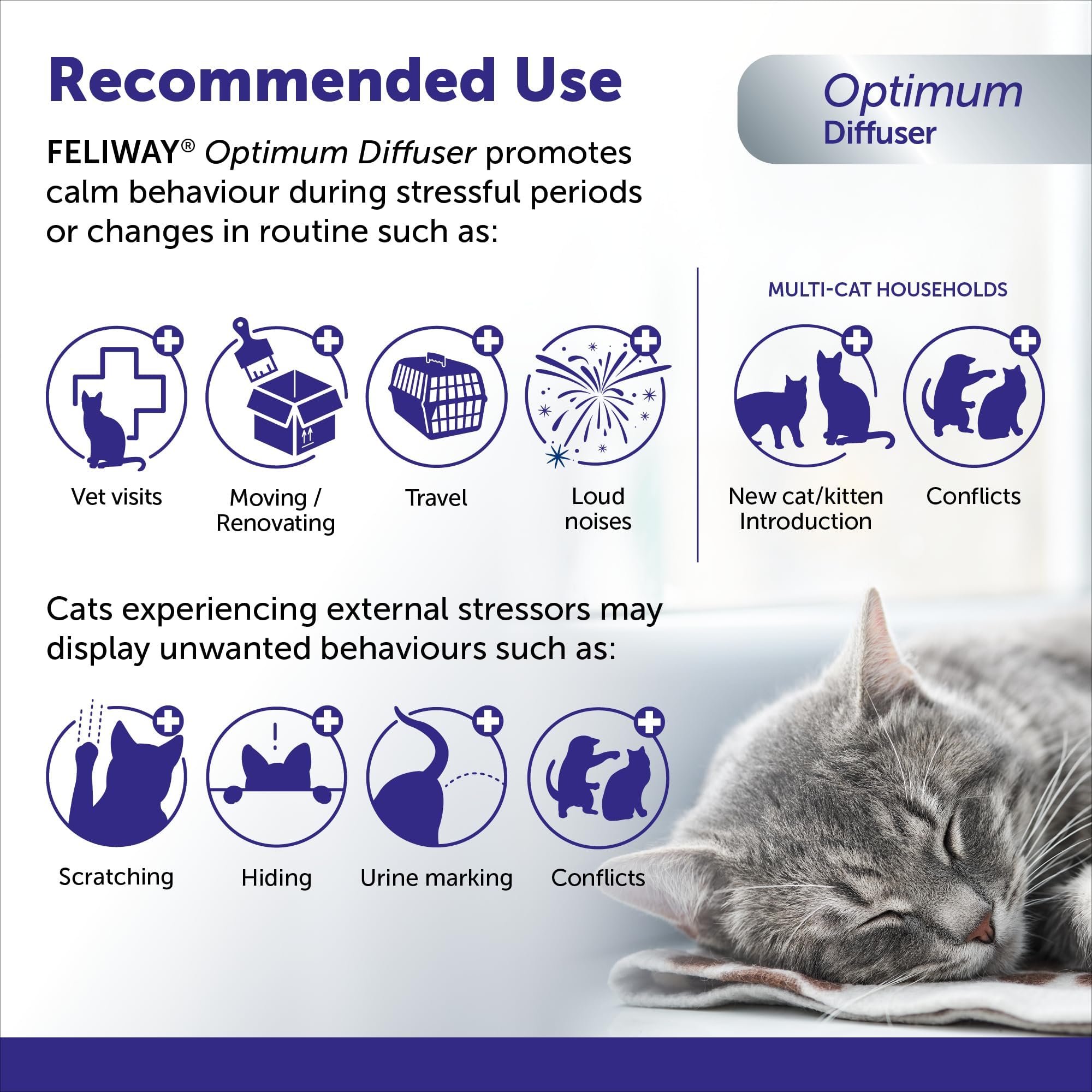 FELIWAY Optimum Diffuser Refill, Promotes Calmness AND Harmony in Cats & Kittens, VHP Registered NN.P5V2, includes 1 Refill, Lasts 30 Days, Cat Calming Pheromones, 48ml 🍁 All In One Marketplace Canada