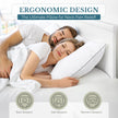 Casa Platino Bed Pillows Standard Size 4 Pack (20x26) - Down Alternative Sleeping Pillows, Hotel Quality, Hypoallergenic & Supportive for Side & Back Sleepers 🍁 All In One Marketplace Canada