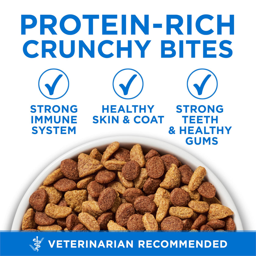 Purina ONE +Plus Dry Cat Food, High Protein with Salmon & Whitefish 3kg 🍁 All In One Marketplace Canada