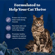 Blue Buffalo Wilderness with Chicken Natural High-Protein Grain-Free Dry Food for Adult Cats, Real Chicken First, Antioxidant-Rich LifeSource Bits Support Immunity, Promotes Strong Muscles, 12 lbs. 🍁 All In One Marketplace Canada