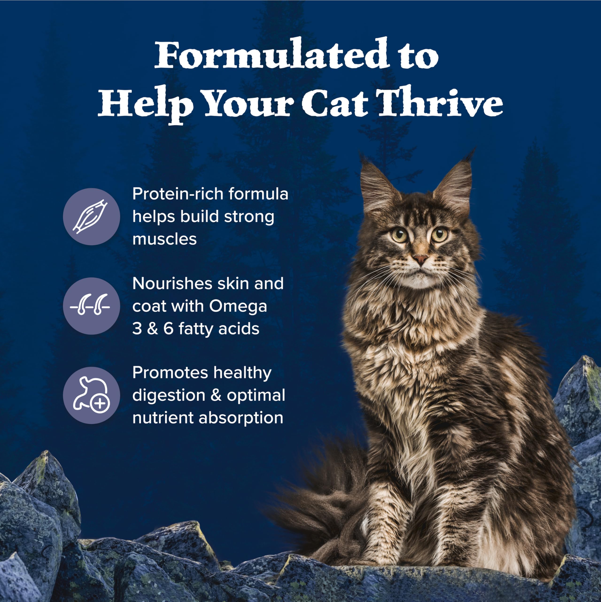 Blue Buffalo Wilderness with Chicken Natural High-Protein Grain-Free Dry Food for Adult Cats, Real Chicken First, Antioxidant-Rich LifeSource Bits Support Immunity, Promotes Strong Muscles, 12 lbs. 🍁 All In One Marketplace Canada