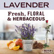Mrs. Meyer's Clean Day Laundry Detergent, Lavender Scent, 1.8L (Packaging May Vary) 🍁 All In One Marketplace Canada