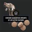 Purina Pro Plan Veterinary Supplements, Dog Probiotic Tablets - 158 g (90 Tablets) 🍁 All In One Marketplace Canada