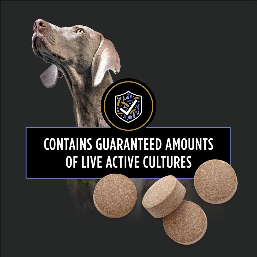 Purina Pro Plan Veterinary Supplements, Dog Probiotic Tablets - 158 g (90 Tablets) 🍁 All In One Marketplace Canada