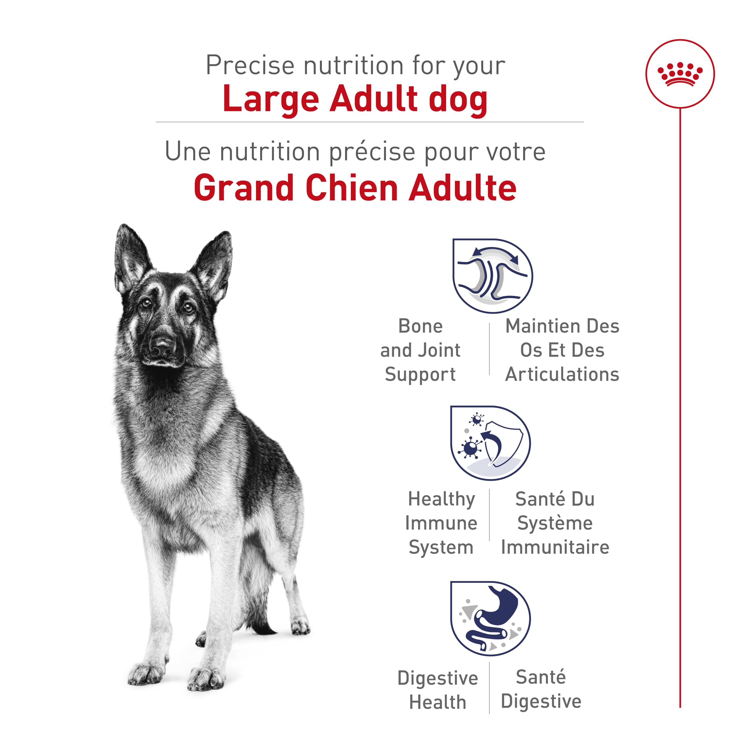 Royal Canin Large Breed Adult Dry Dog Food, 30 lb Bag 🍁 All In One Marketplace Canada