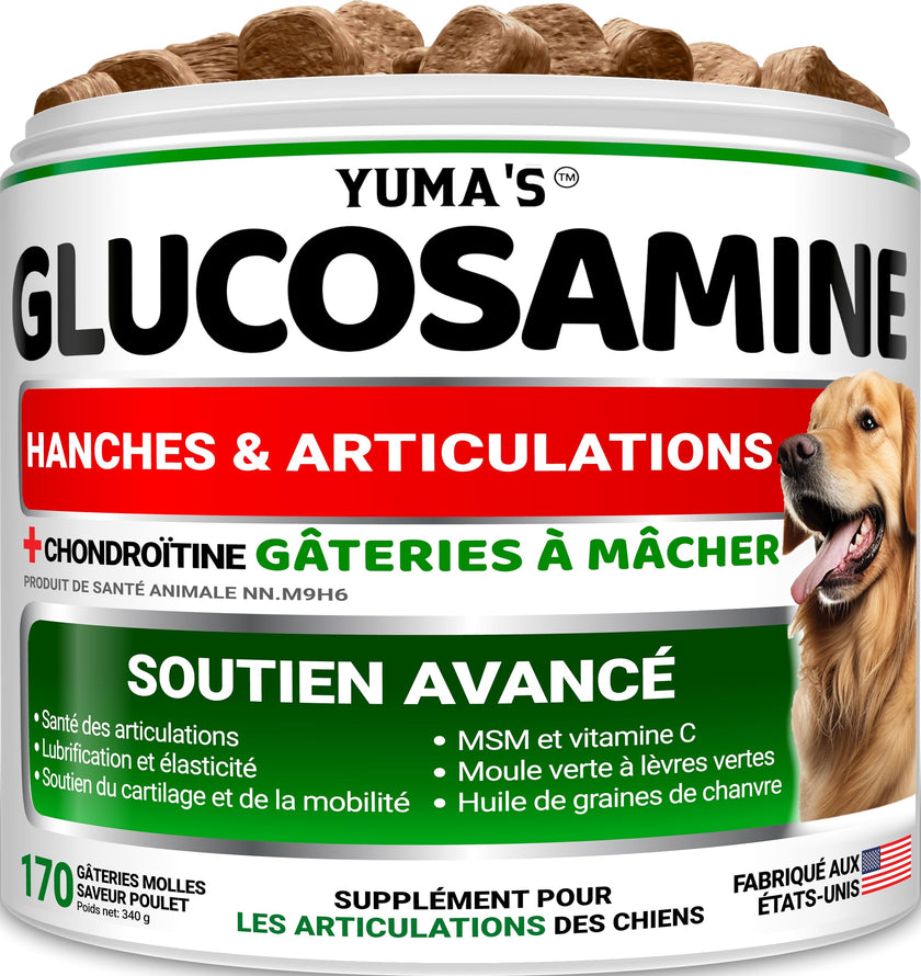 Glucosamine for Dogs - 170 Chews - Hip and Joint Supplement for Dogs - Glucosamine Chondroitin Chews - Joint Pain Relief Supplement with MSM - Advanced Health - Mobility Support - Made in USA 🍁 All In One Marketplace Canada