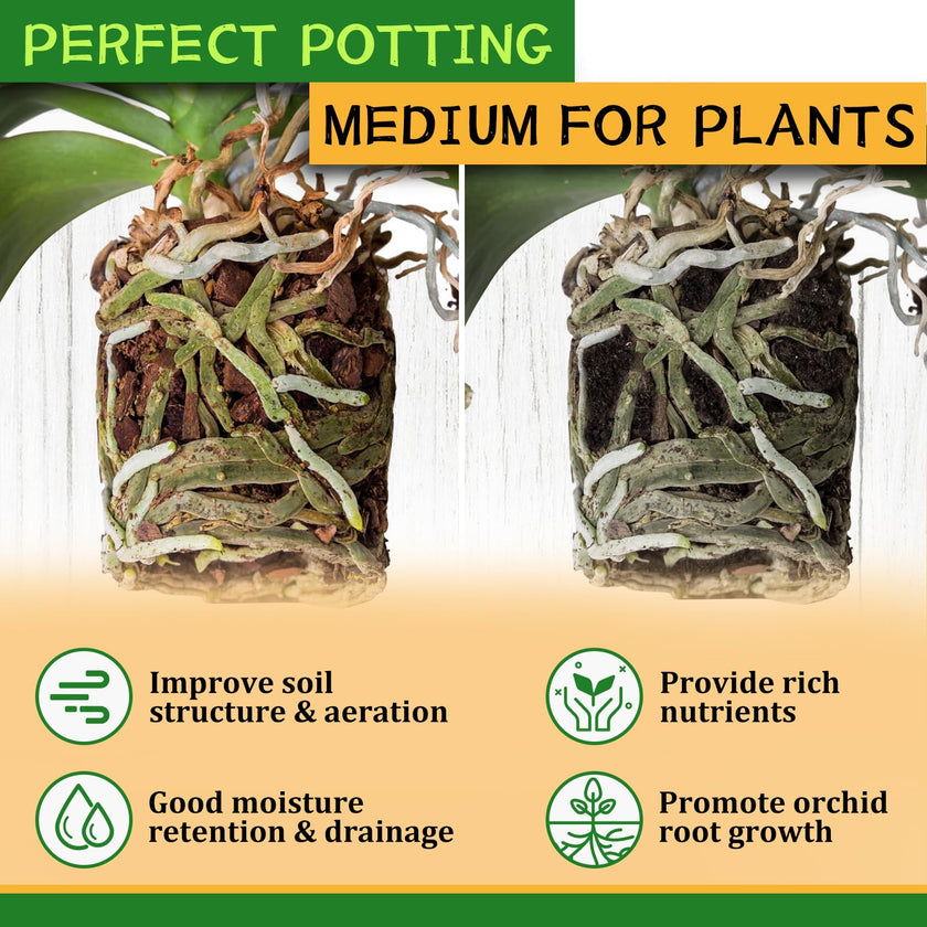 Legigo 2 litres Organic Orchid Potting Bark- All Natural Orchid Bark Potting Mix Pine Bark Wood Chips for Houseplant Mulch, Plants Root Development 🍁 All In One Marketplace Canada