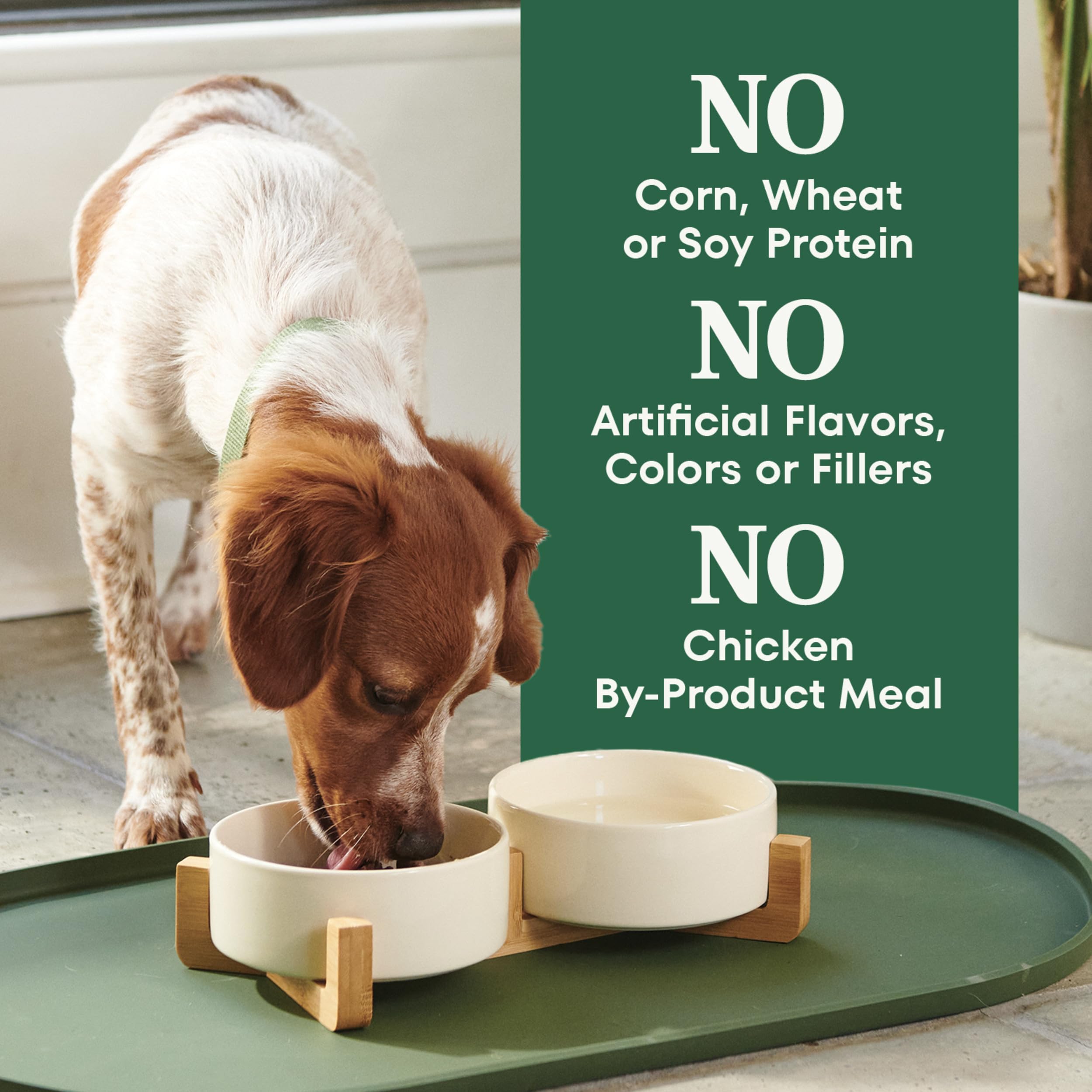 Nutro Natural Choice Adult Dry Dog Food, Lamb Flavour, 2.27kg 🍁 All In One Marketplace Canada