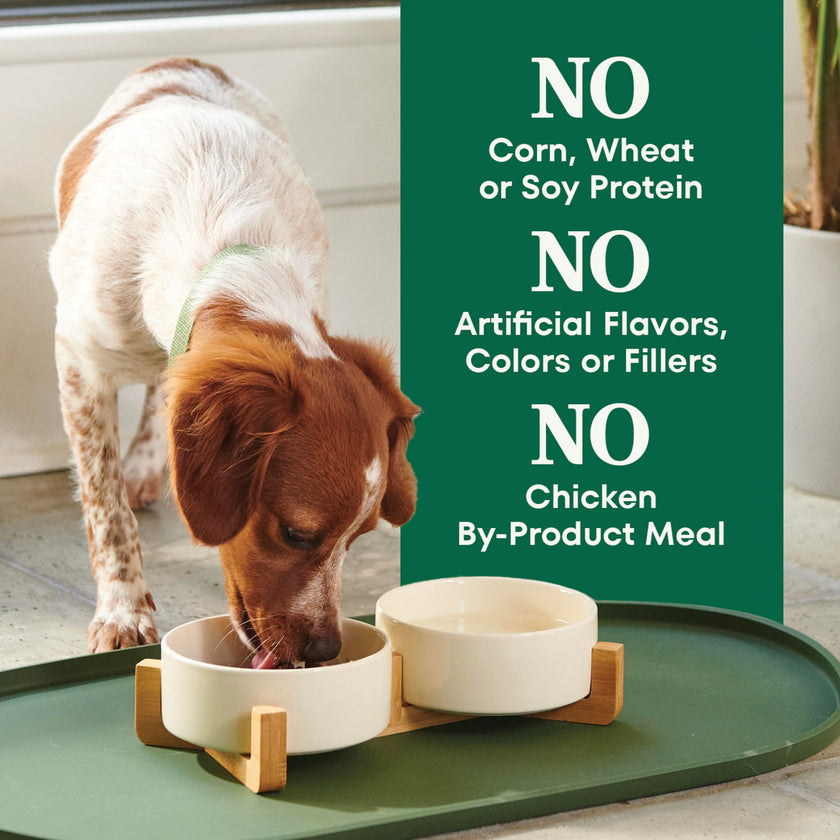 Nutro Natural Choice Adult Dry Dog Food, Lamb Flavour, 2.27kg 🍁 All In One Marketplace Canada