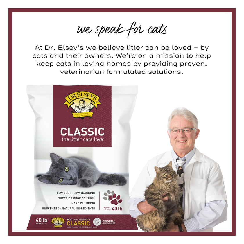 Precious Cat Classic Premium Clumping Cat Litter, 40 Pound Bag 🍁 All In One Marketplace Canada