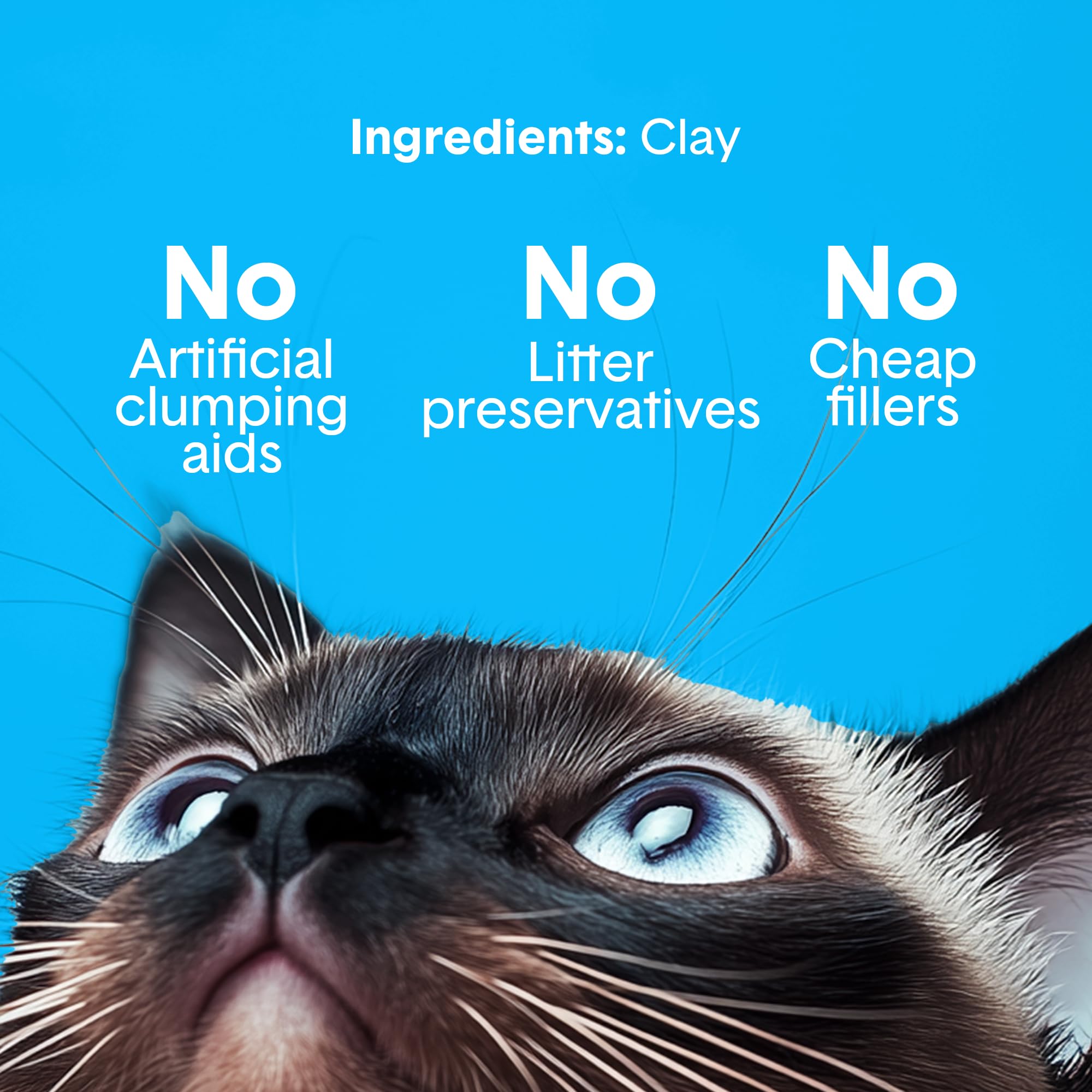 Boxie® Unscented 30 Day Odor Control Clumping Clay Cat & Kitty Litter 16 lb, 99.9% Dust-Free, Hard Flat Top® Clumps, No Fragrances No Fillers, Long-Lasting, Easy to Scoop 🍁 All In One Marketplace Canada
