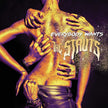The Struts / Everybody Wants - CD (Used)