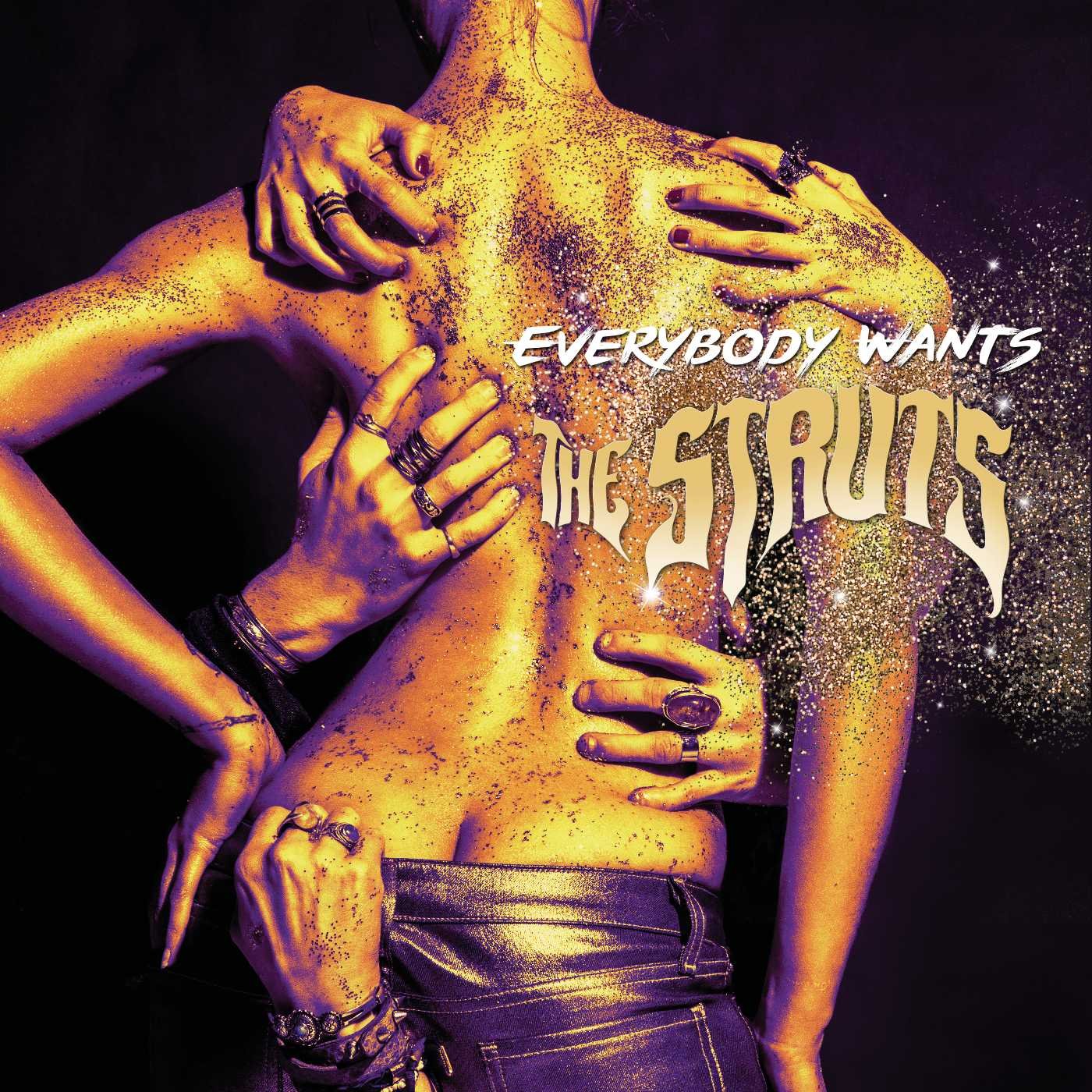 The Struts / Everybody Wants - CD (Used)