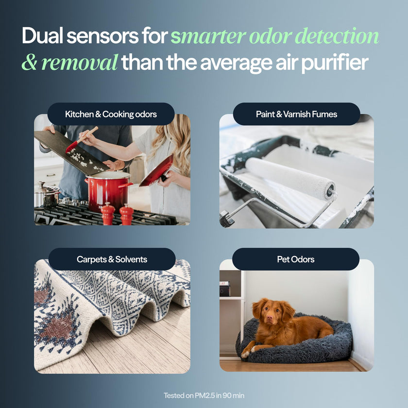 BLUEAIR Blue Signature SP3i Air Purifier for Medium Rooms up to 2,250 sq ft, HEPASilent Filtration, WiFi Smart Control, Auto Mode, Odor & Smoke Removal, Pet Hair & Dust, AHAM Verified, Table Design 🍁 All In One Marketplace Canada